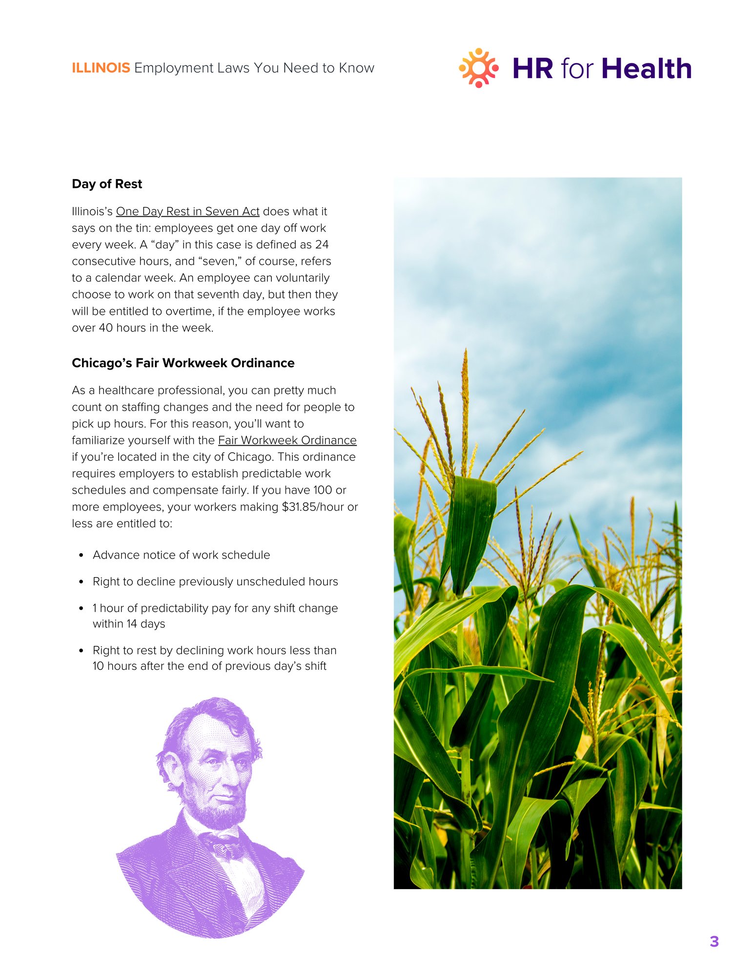 The Complete Guide_IL (1)